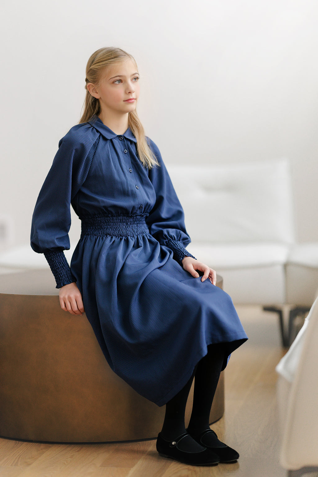 BLUE STRIPE WAISTED DRESS